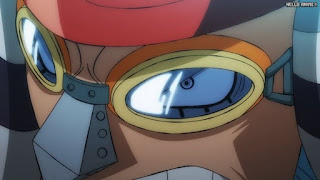 ワンピースアニメ 1041話 フランキー | ONE PIECE Episode 1041