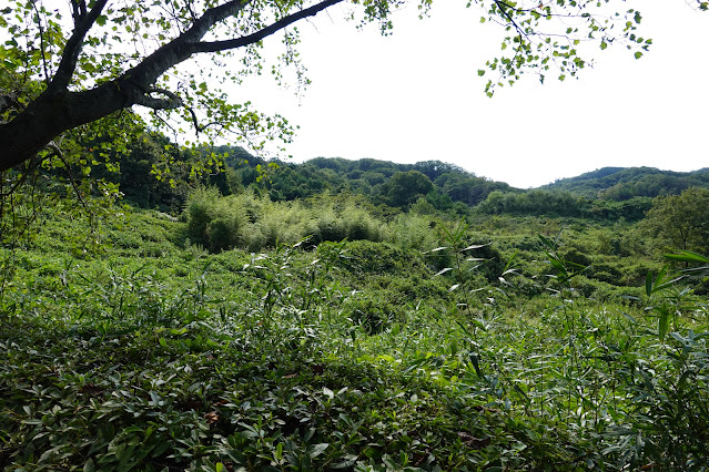 鳥取県西伯郡南部町能竹　南部町西伯カントリーパーク