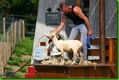 IMG_0777