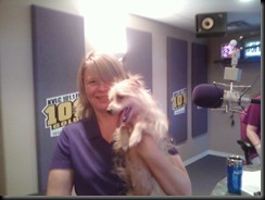 dog angel