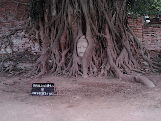 Ayutthaya - cabeça de Buda