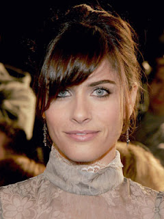 Amanda Peet Hairstyle Image