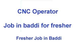 Job in Baddi
