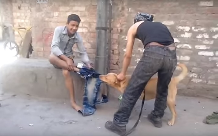 DOG FORCED BOY TO REMOVE HIS PANT IN PUBLIC