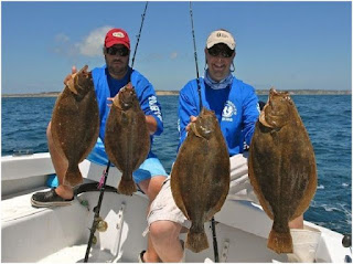 Nama Nama Ikan Laut Dangkal FLOUNDER / FLUKE ( PARALICHTHYS DENTATUS )