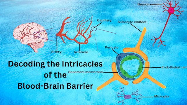 A visual representation showcasing the complexity of the blood-brain barrier, with intricate cellular interactions symbolizing its protective function