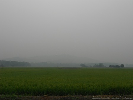 DSCN4704