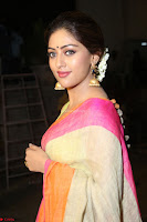 Anu Emanuel Looks Super Cute in Saree ~  Exclusive Pics 057.JPG