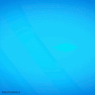 Download free good morning gif images online, English gifs photos for texting, ppt, WhatsApp, Facebook, Telegram, YouTube and other social media apps platforms on photoswale.com
