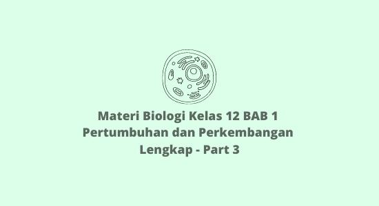 Materi Biologi Kelas 12 BAB 1 Pertumbuhan dan Perkembangan Lengkap - Part 3