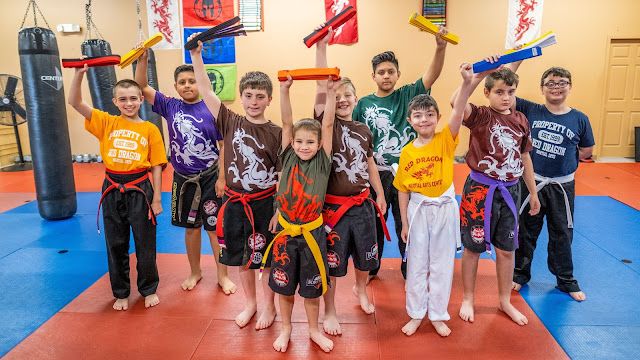 martial arts karate bjj training for kids in morristown tn