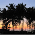 Saturday Photohunt - Dusk