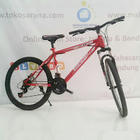 24 evergreen ranger junior mountain bike