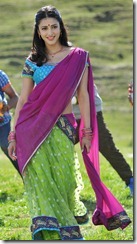 Gabbar Singh Shruti Hassan Hot Saree Stills