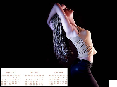 2009 Calendar Wallpaper