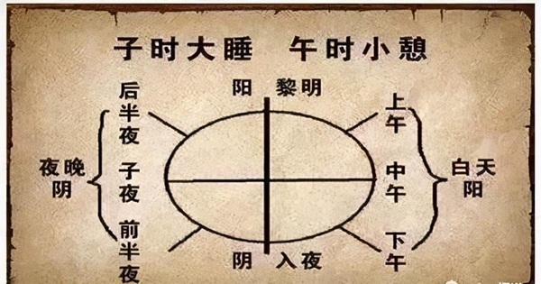 陽氣產生於脾，根於腎，萌芽於肝(睡眠)