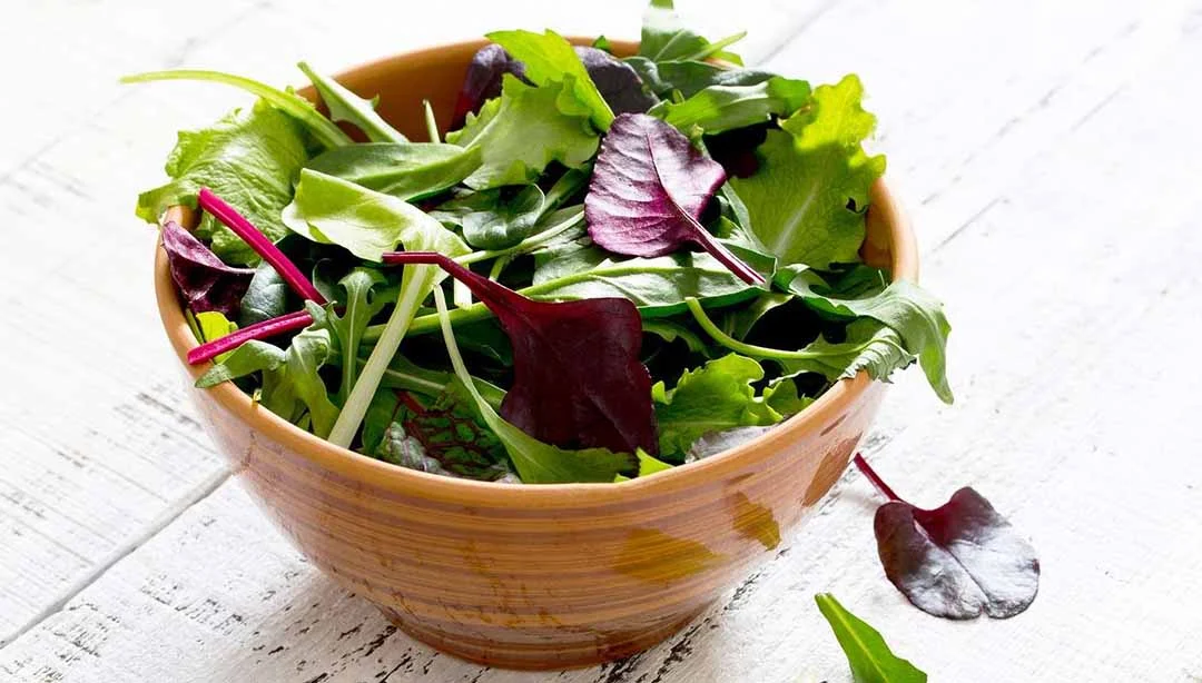 Mixed green salad recipes