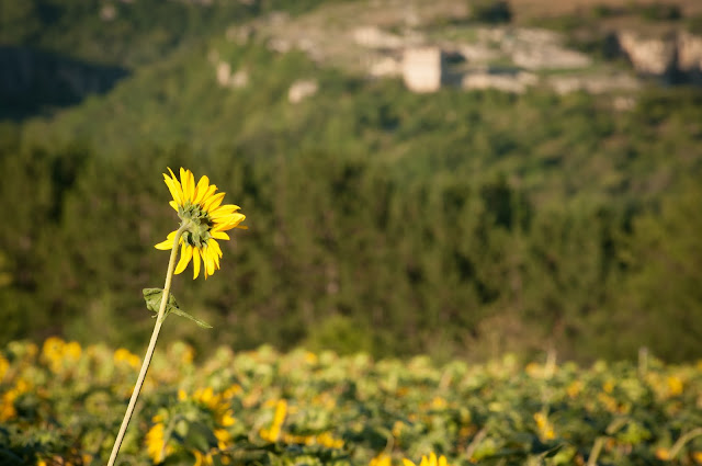 Cherven, Bulgaria