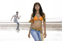 Nisha Kothari - BollywoodGo.com