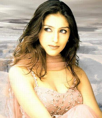 Hot Aarti Chhabria Image