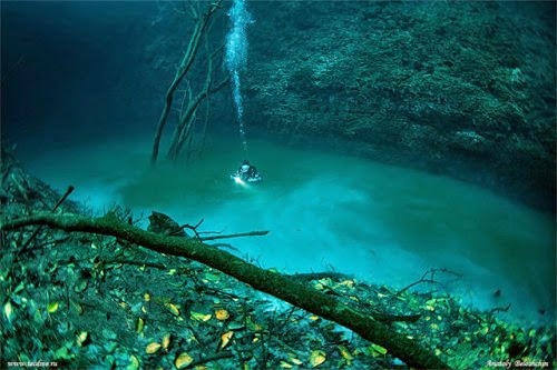 Cenote Angelita, Mystical Underwater River in Mexico