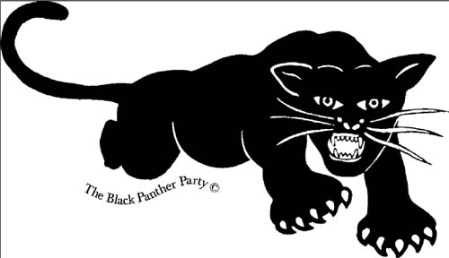 Black Panther Ten Point Plan