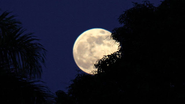 moon, night, amazing pictures, cool pictures of moon, moon are beautiful