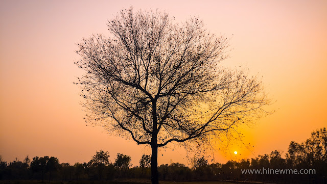 9 Sunset photography pictures, pink style landscape, come to see my photography collection