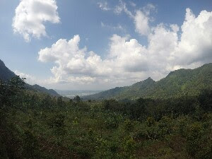 Pemandangan Desa Wirogomo