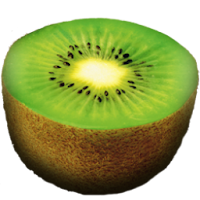 kiwi fruits icons 1