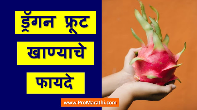 Dragon Fruit Benefits in Marathi