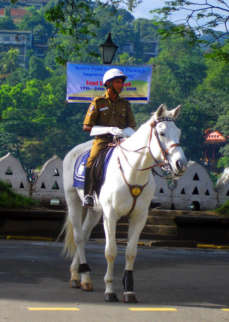 srilanka guardsman 