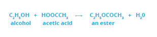 FSc Biology Part 1 XI 11th Chapter 2 Biological Molecules Notes