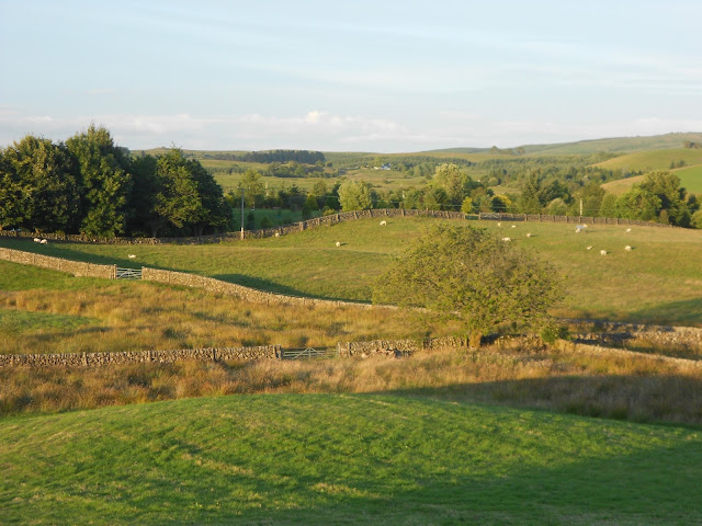 A photo of green pastural fields in summertime in Galloway in Scotland.