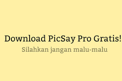 Download Aplikasi PicSay Pro 1.8.0.5 APK for Android