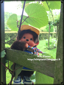 kiki monchhichi set de camping, rouelles forêt explorateur