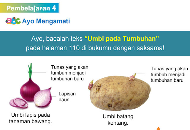 Download Power Point Tematik Terpadu Kelas  Guru K13: Download Power Point Tematik Terpadu Kelas 3 Tema  1 Subtema 4 Pembelajaran 4 Tahun 2019/2020