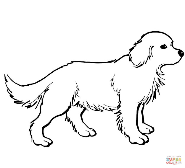 Black Lab Puppy Coloring Pages Black Download Coloring Pages Books And  Drawing