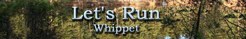 Let's Run Whippet