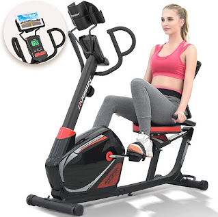 HARISON Magnetic Recumbent Exercise Bike