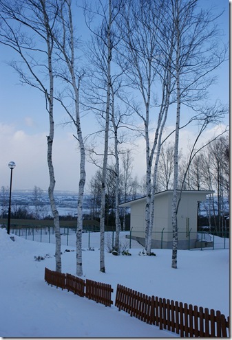 DSC09373