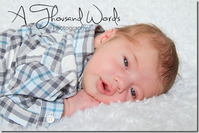 atwPhotography-3 copy