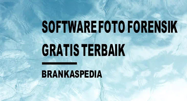 Software Foto Forensik Gratis Terbaik Untuk Windows