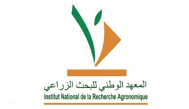 المعهد الوطني للبحث الزراعي: مباراة توظيففي مختلف الدرجات والتخصصات – 16 منصب. آخر أجل هو 18 أكتوبر 2018