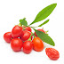 Penjelasan Komposisi Lycium Barbarum Fructus (Goji Berry)