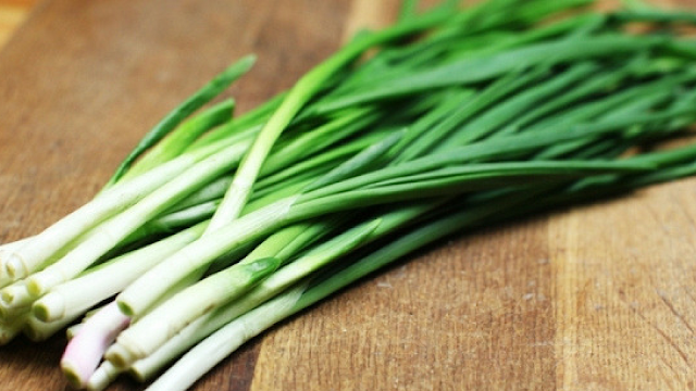 Daun bawang, salah satu bumbu masak yang kaya khasiat bagi kesehatan.