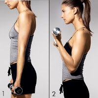 Standing dumbbell Curls