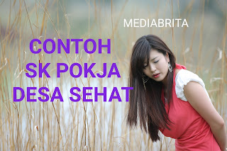 Download SK Pembentukan Pengurus Pokja Forum Desa Sehat (FDS)