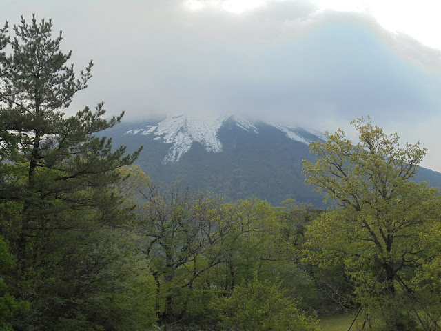 大山牧場みるくの里からの大山の眺望