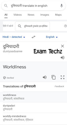 Google features of translator